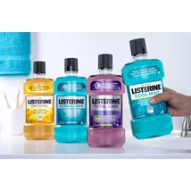 Listerine szájvíz 500ml Több Fajta(12 db/#)